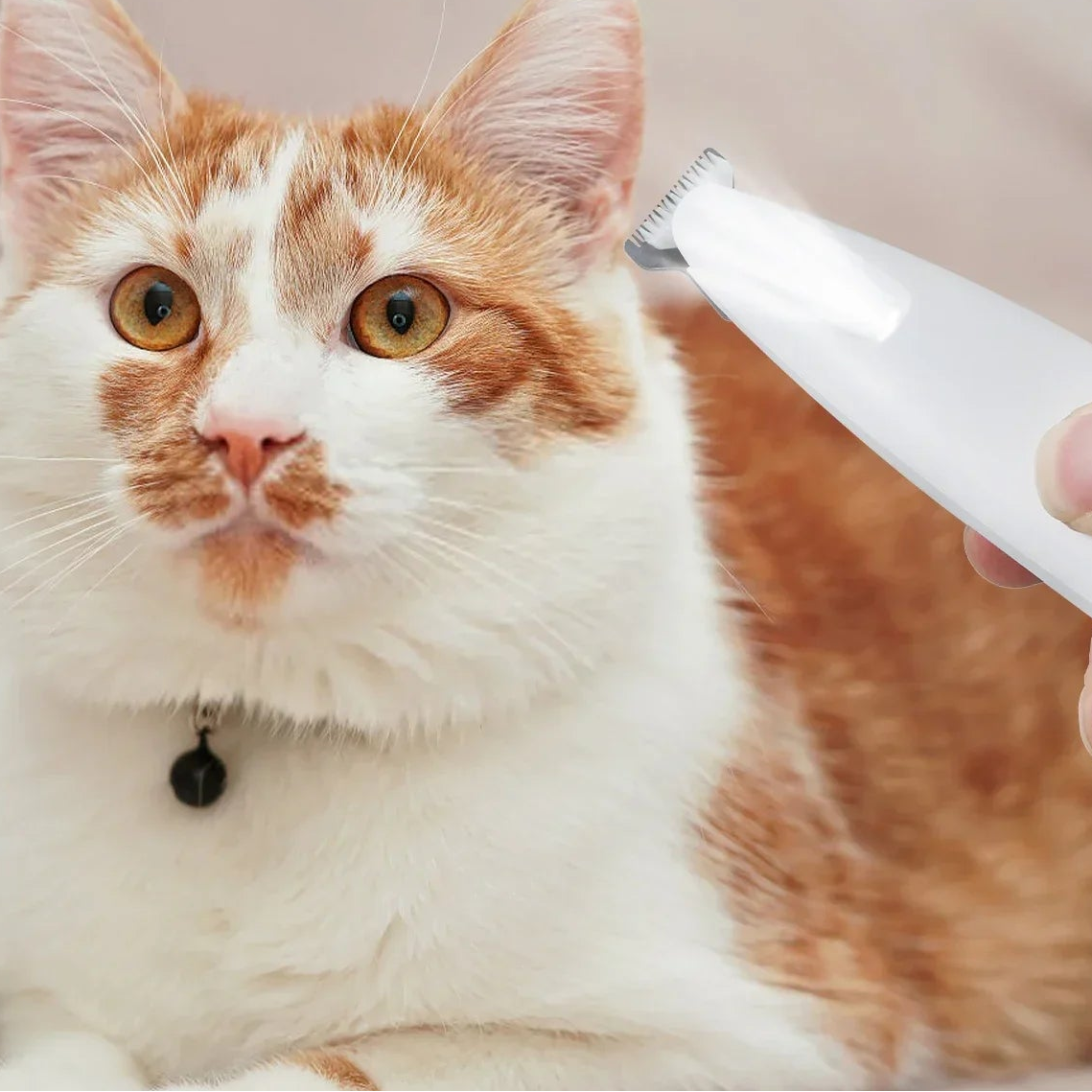 LunoPaws™ - LED Nail Clipper