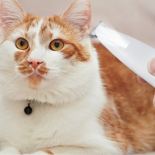 LunoPaws™ - LED Nail Clipper